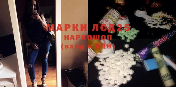 хмурый Абаза
