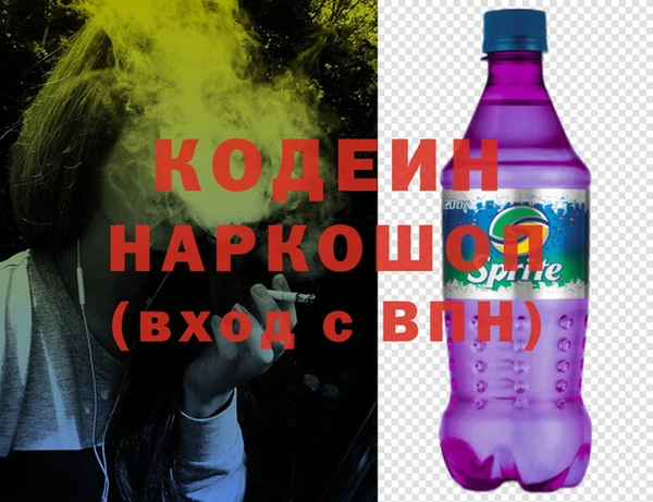 хмурый Абаза