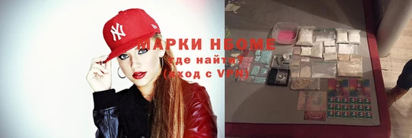 хмурый Абаза