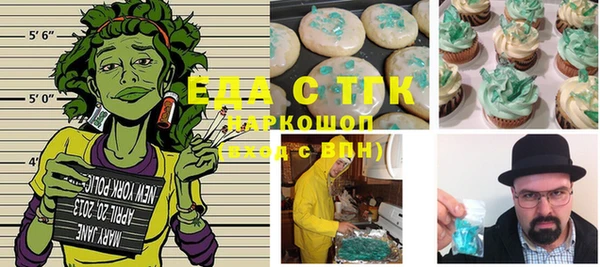 хмурый Абаза