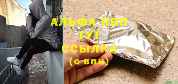 хмурый Абаза