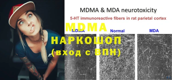 хмурый Абаза