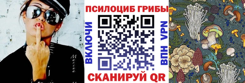Псилоцибиновые грибы ЛСД Елизаветинская