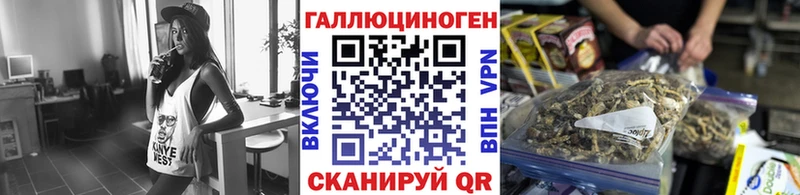 Псилоцибиновые грибы Psilocybe Елизаветинская
