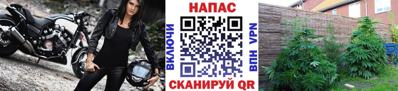 сколько стоит  мориарти состав  МАРИХУАНА MAZAR  Елизаветинская  МЕГА ссылки 